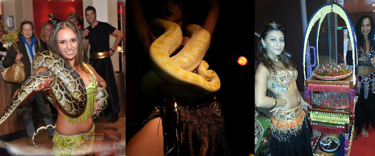 Hanteren van slangen